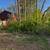 Stump Grinding 12 thumbnail