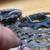 Shimano Ultegra 11 speed cassette 11/32 Nice 2 thumbnail