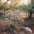 40 acres located inside Tohono O'odham Indian Reservation 18 thumbnail