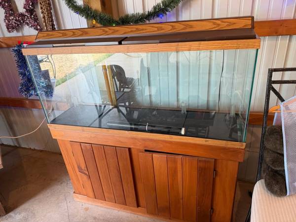 Aquarium 1