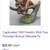 Vintage Figurines in Porcelain, Ceramic and Wood 14 thumbnail