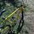 TREK MOUNTAIN BIKE 830 21 speed bicycle made in the USA 12 thumbnail