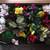 Box full of Decorative Plastic Plants 1 thumbnail