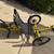 TerraTrike Recumbent Tandem Pro 2 thumbnail