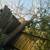 Termite damage repairs/ carpenter 6 thumbnail