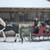 Horse-Drawn Sleigh Rides: Winter Fun for Families, Couples, Groups 6 thumbnail