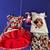Minnie Mouse Disney Dress Skirt Shirt Size 6 Stuffed Toy Bundle NEW 1 thumbnail