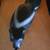 Big Sky Carvers Wood Skunk 20 thumbnail