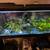 Fish tank 1 thumbnail