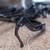 Dura Ace 7900 TT with Ultegra Crank 22 thumbnail