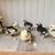 Silkie chicks 2 thumbnail