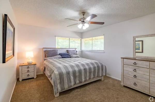 $550 / 1br - Bright Private Bedroom – Peaceful Pet Friendly Home 💖 (Worcester)63825126801027120