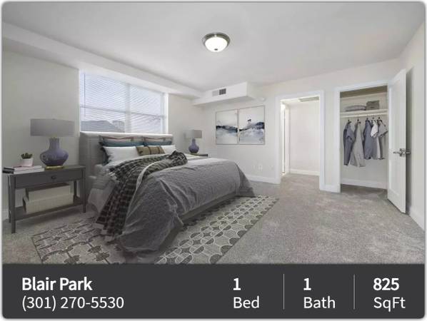 $1,399 / 1br - 825ft2 - ¡Te encantará vivir en nuestra hermosa comunidad asequible! (Silver Spring - Justo fuera de Georgia Avenue)63896508025347122