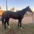 OTTB Project 5 thumbnail