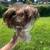 Wigs 9 thumbnail