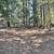 REDUCED!!  10 Plus Forested Acres, Good Well, Quiet, Water Storage 21 thumbnail