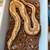 Ball python 1 thumbnail