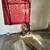Handy-Man Special Mobile Home in Martinsburg WV! (Close to DC-MD-VA) 11 thumbnail