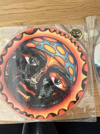 Sublime Limited Edition Picture Disc Vinyl Records - collectibles