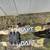 Bear Adapt compound bow 3 thumbnail