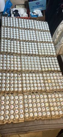 Various Titleist Golf Balls 1