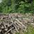 FIREWOOD 5 thumbnail