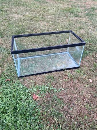 40 gallon breeder tank 1