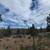 Buildable 32 Adjoining Acres East of Prineville Reservoir 2 thumbnail