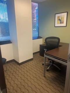 Limited Time Special: Window Office in Downers Grove - 1st Month Free 1