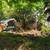 BOBCAT SERVICES - LOT CLEARING • DEMO • MATERIAL SPREADING 1 thumbnail
