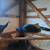Peacocks 3 thumbnail