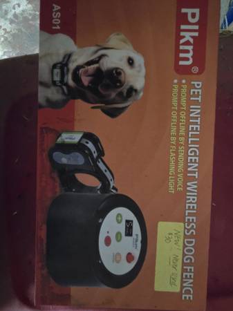 Training dog collar 1