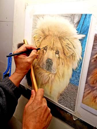 Retratos de mascotas (Urbandale)63671589209475124
