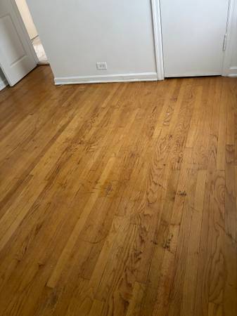 $2,480 / 3br - 3.5 bedroom apartment for rent (Budlong Chicago)64041810158209123
