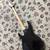 Peavey American foundation bass 4 thumbnail