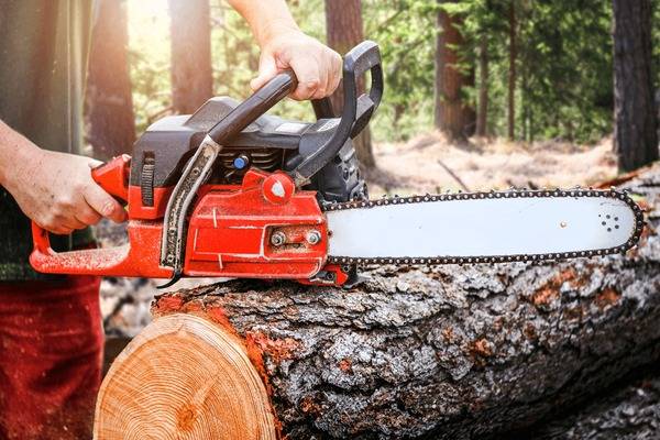 Chainsaw Repair & Sharpening 1