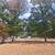 Home for sale with 5 acres 18 thumbnail