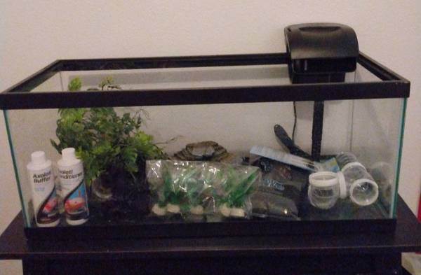 Complete Axolotl Setup, Price Reduced!! 1