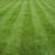 Sod installation(i take credit cards ) 10 thumbnail