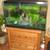 31 Gallon Fish Tank with Accessories & Stand  - Full Package 1 thumbnail