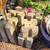 Planter blocks 1 thumbnail