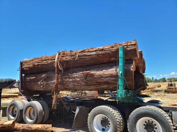 REDWOOD LOGS FOR SALE - $100 (novato)63471437825027121