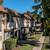 One Bed w $500 OFF YOUR MOVE // Convenient - Walkable - Pet Friendly 4 thumbnail