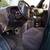 Dodge Ram 2500 van camper conversion 15 thumbnail