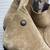 Women's Paul Green Nubuck Genuine Leather Boots 2 pairs - size 8.5 4 thumbnail