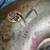 JEEP AUTOMATIC TRANSMISSION 2 WHEEL DRIVE WITH LOCK OUT CONVERTER 4 thumbnail