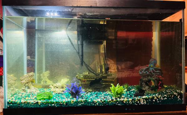 29 GALLON TANK WITH EVERYTHING 1