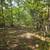 Custom Atrium Ranch on 38.4+/- Acres with Three Stocked Ponds 22 thumbnail