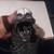 1979 ALIEN,BIG CHAP, 18INCH FIGURE. 4 thumbnail