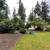 🌿Yard Clean up, Brush Clearing, Hedge Trimming, Tree Removal, Bark & Sod. 9 thumbnail